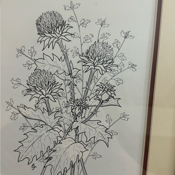 Vintage Framed Botanical Ink Pen Illustration Milk Thistle & Leaves MCM Unique - Picture 5 of 10